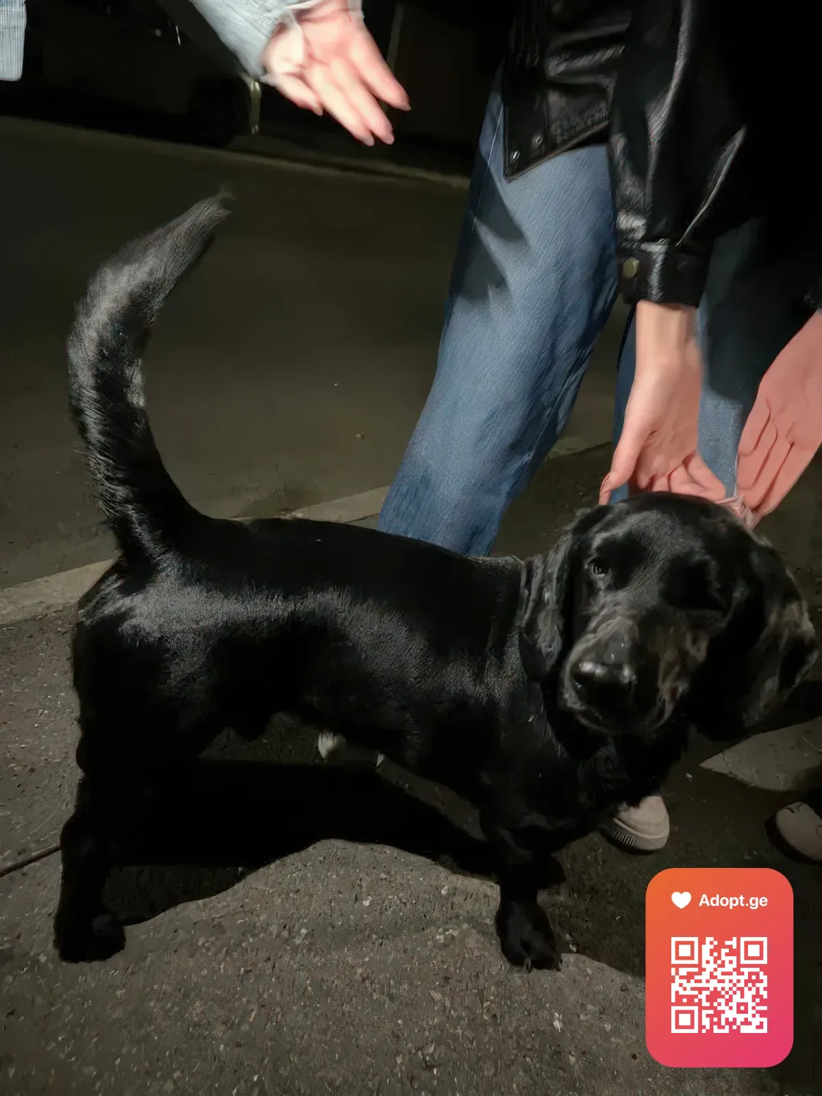 Background