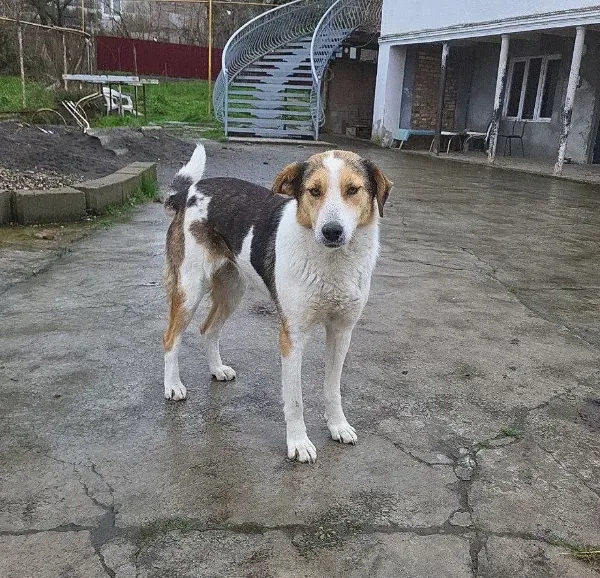 photo_2026-04-04_14-19-33