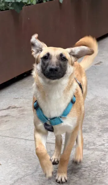 photo_2026-04-04_16-57-07