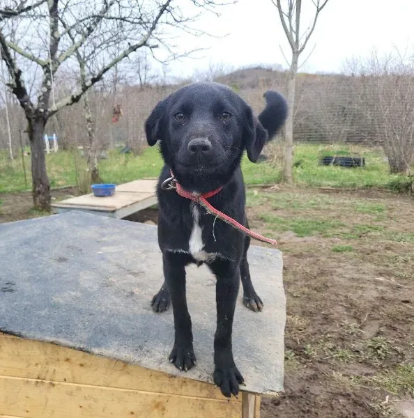 photo_2026-04-04_15-06-24