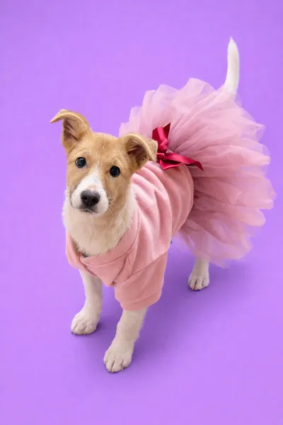 e16a324b-fba3-482f-b579-99772ca22d54