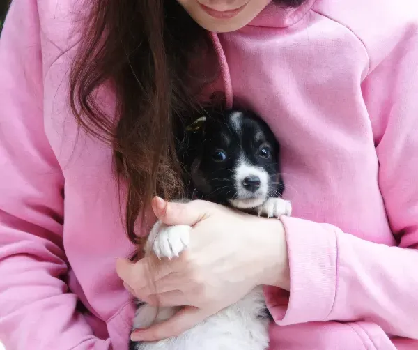 Untitled-1-Topaz-Gigapixel-2x-scale