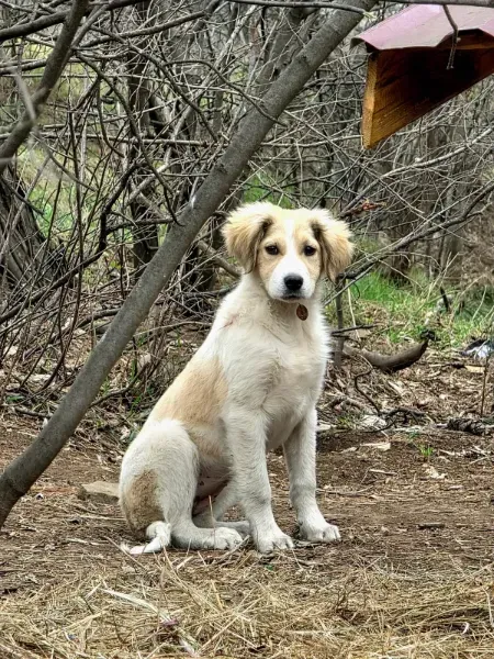 1776279098523-wgdhp3