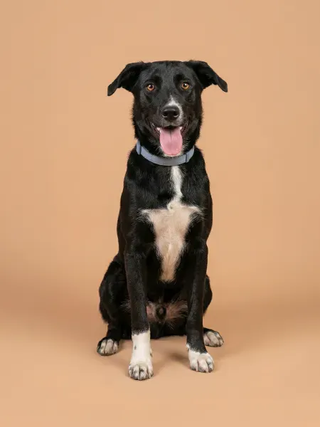 _Gemini_Generated_Image_yk2t4yyk2t4yyk2t