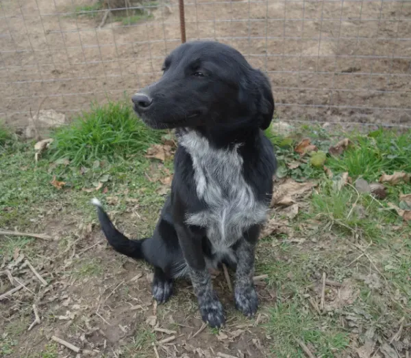 photo_2026-04-04_15-01-25