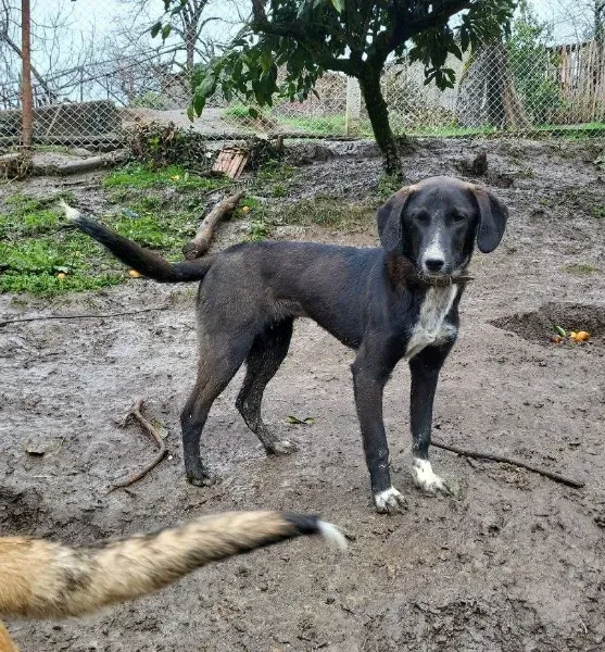 photo_2026-04-04_14-56-40