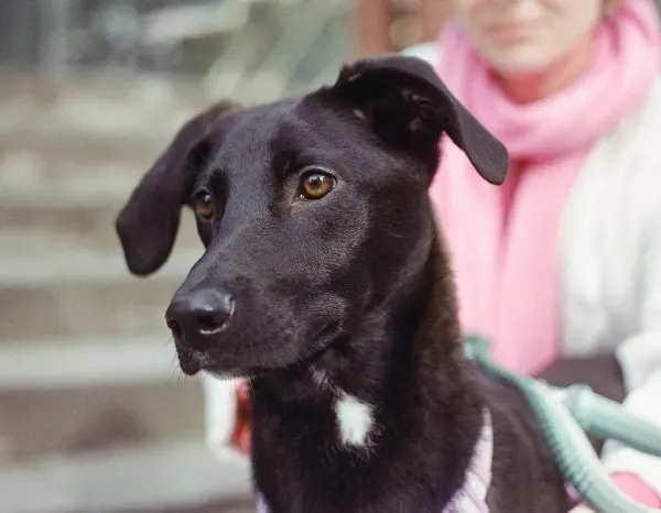 photo_2026-04-04_15-14-26