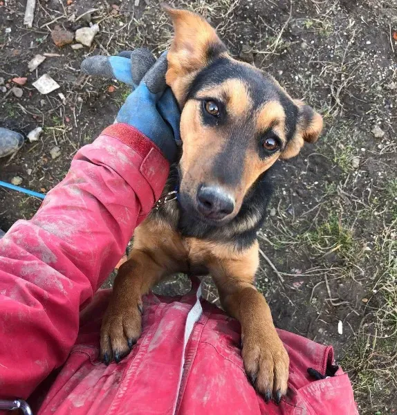 photo_2026-04-04_14-32-30