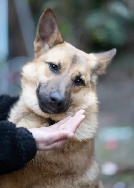 photo_2026-04-04_16-41-54