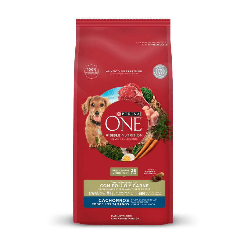 Alimento Seco Nutrición Superior