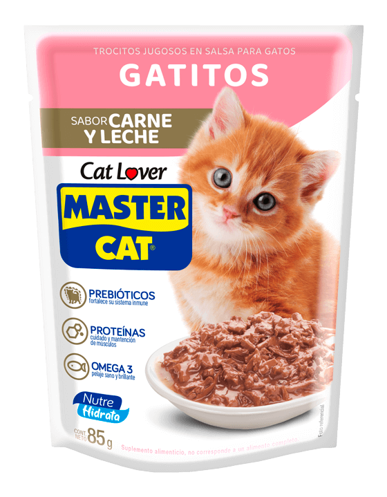 Master Cat Gatitos - Caja de 20 Pouches 85 Grs
