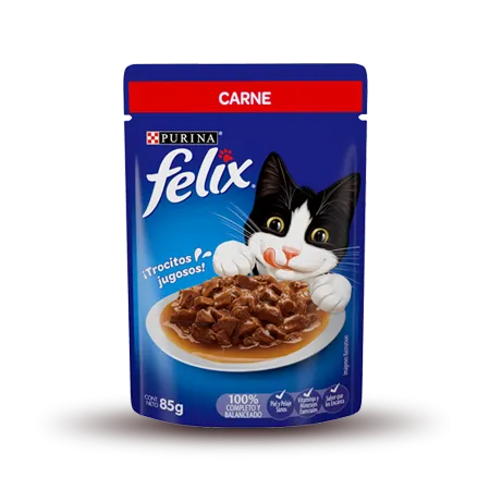 Felix Gato Adulto Carne - Caja 24 Pouches