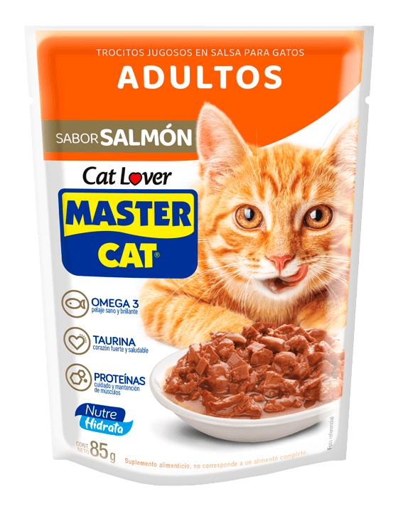 Master Cat Salmón - Caja de 20 Pouches 85 Grs