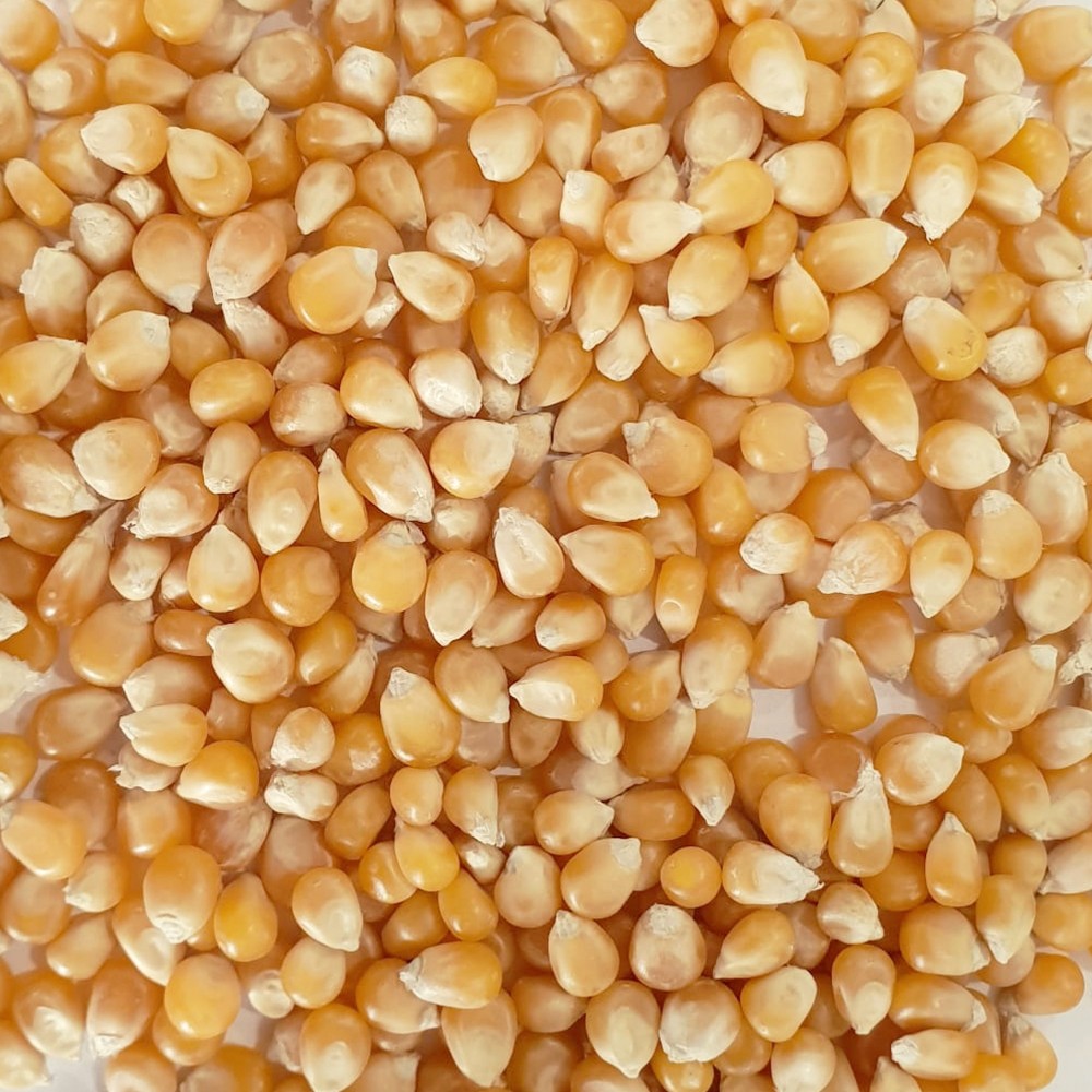 Maíz - Saco 25kg