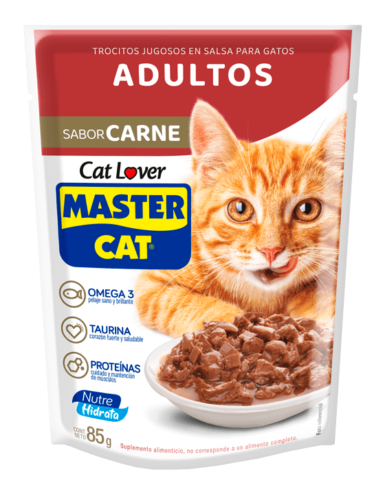 Master Cat Carne - Caja de 20 Pouches 85 Grs