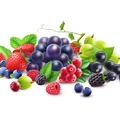 berries
