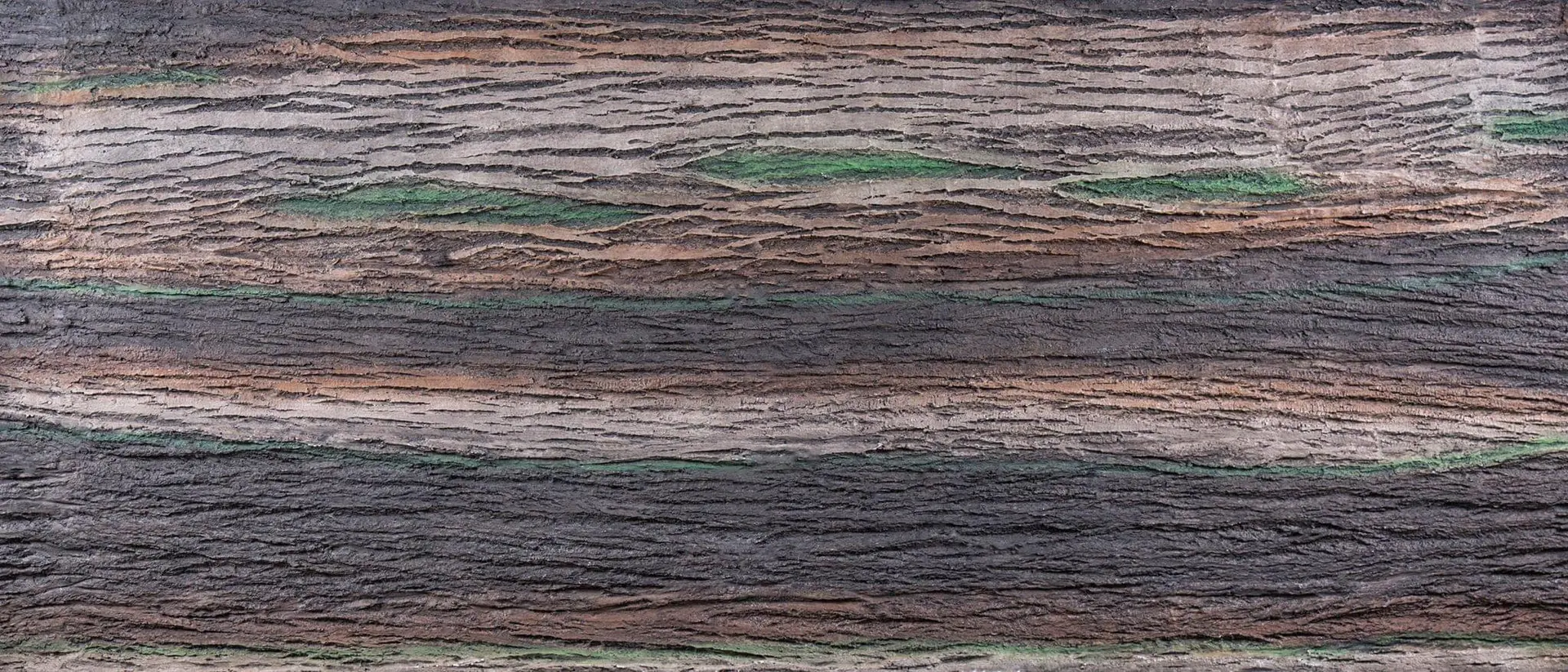 Wood Shell Ahşap Paneller