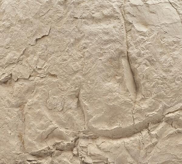 Canyon Taş Panel – Nature