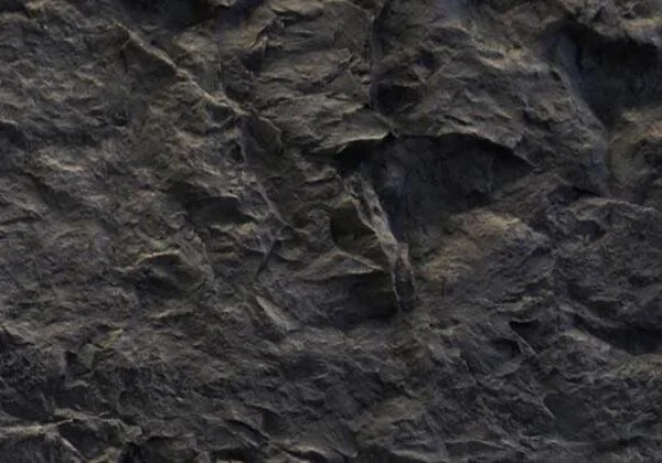 Canyon Taş Panel – Negra