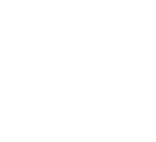 Intelligenz Welt Logo