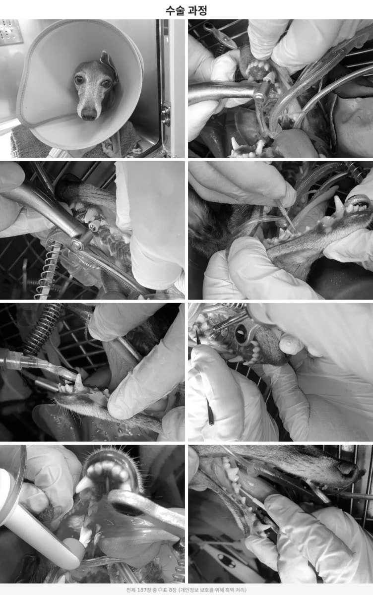surgery