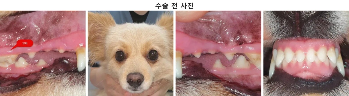 수술 전 환자 내원 당시 모습