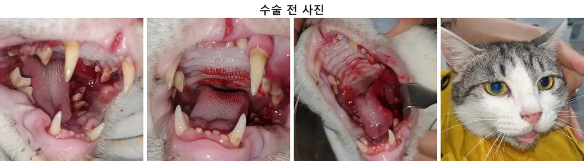 환자 내원 당시 모습