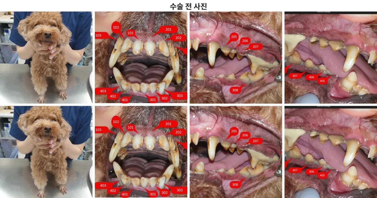 내원 당시 이 환자의 안색과 구강 상태 확인