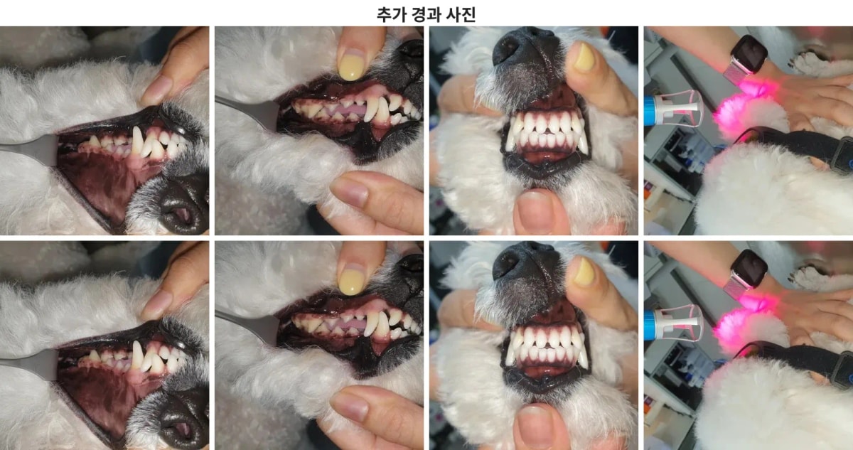 이번 증례의 건강한 경과