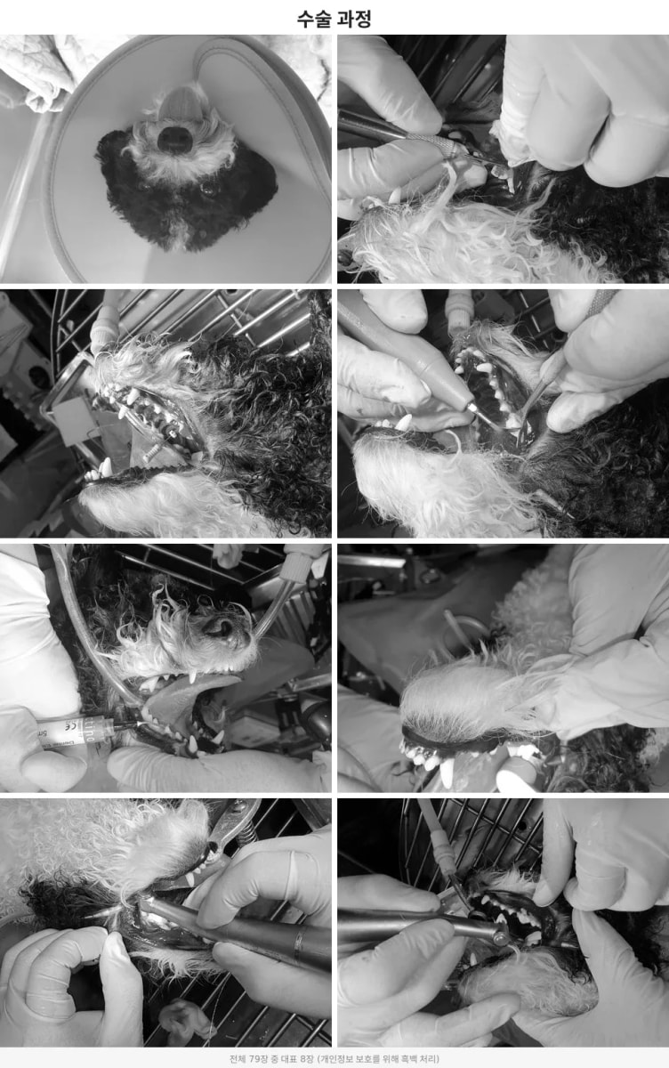 surgery