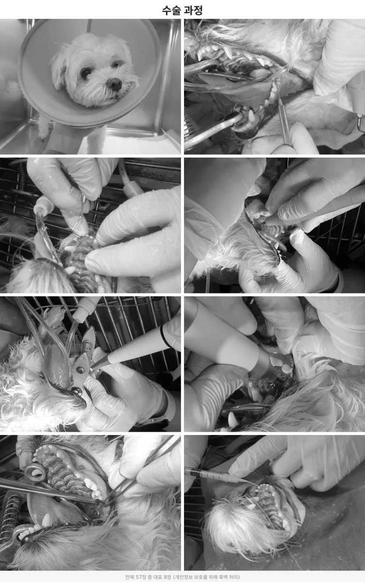 surgery