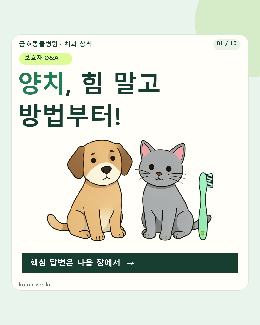 작은 갈색 강아지와 회색 고양이 옆에 부드러운 칫솔이 놓인 새 일러스트