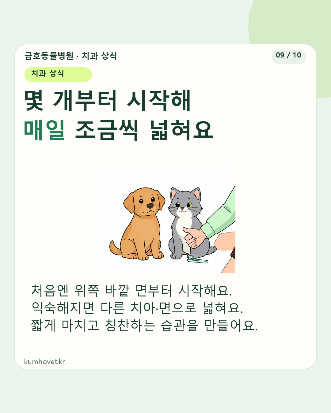 강아지와 고양이가 보호자의 칭찬을 받으며 편안하게 있는 일러스트