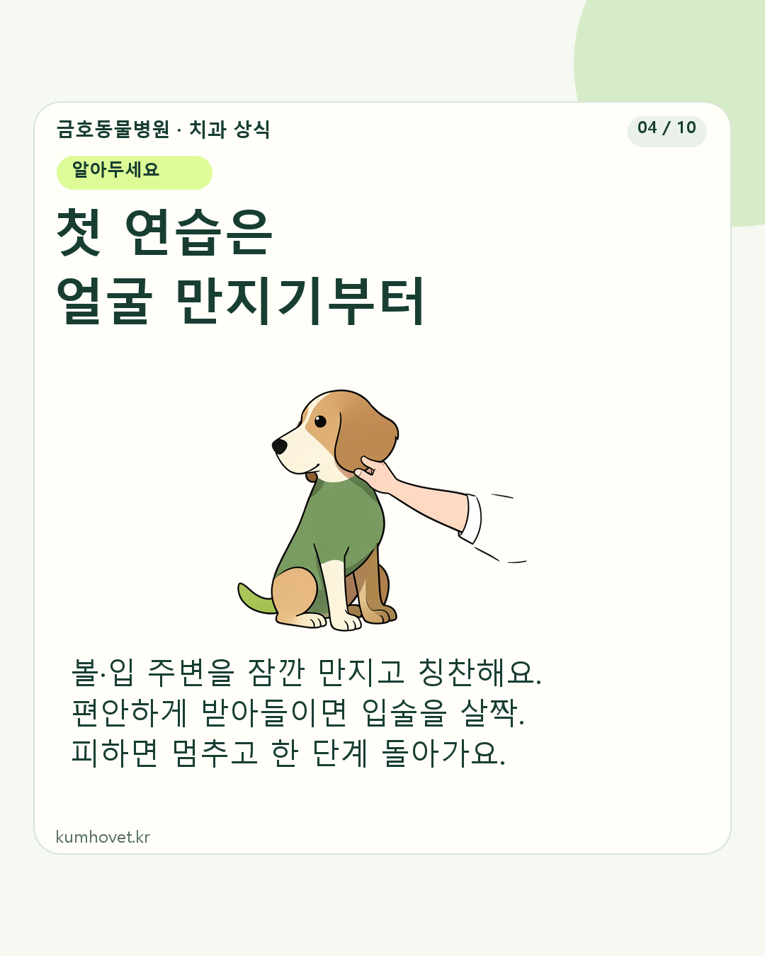 편안하게 앉은 강아지의 볼을 손끝으로 살짝 만지는 보호자 일러스트