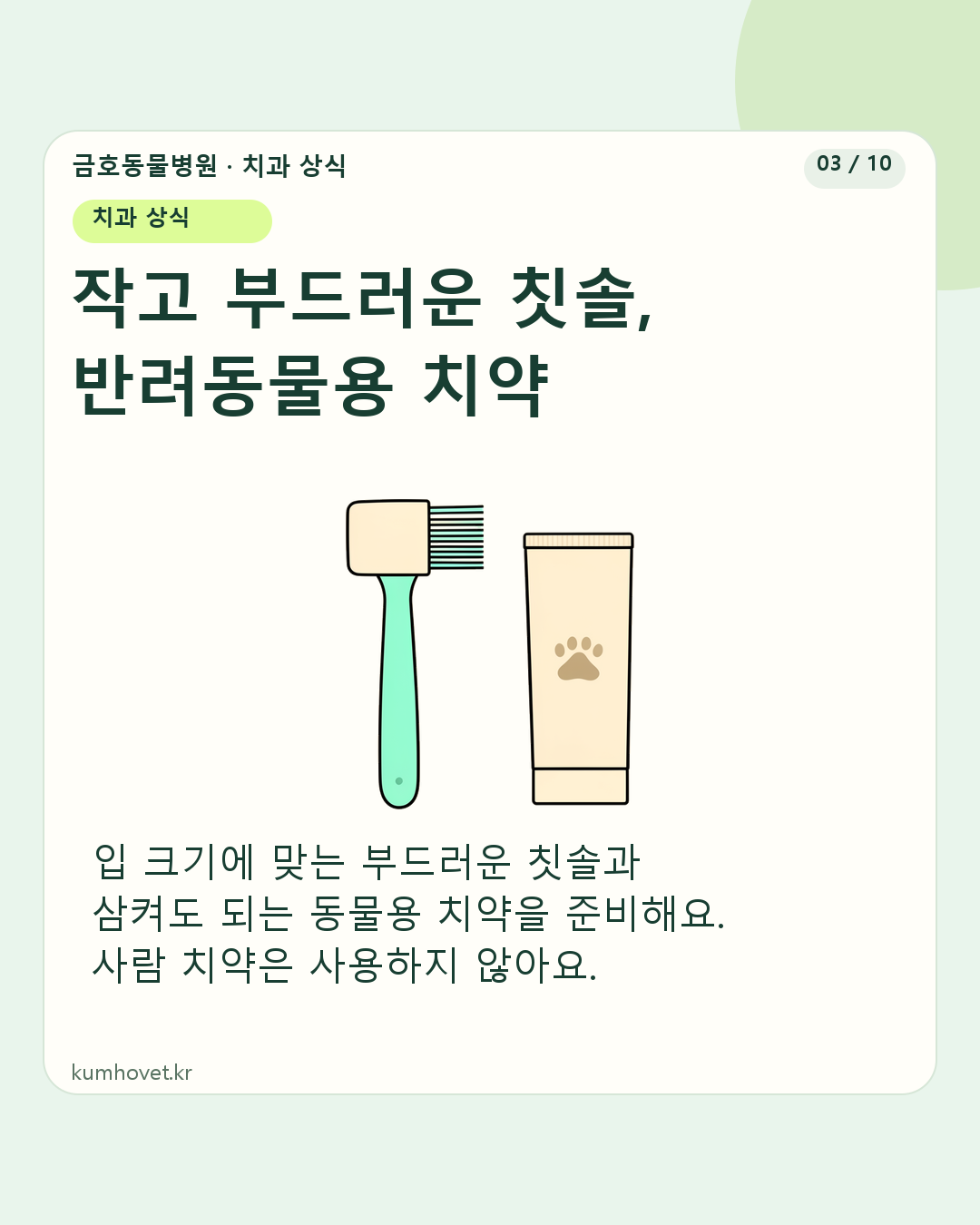 작은 부드러운 칫솔과 글자 없는 반려동물용 치약 튜브 일러스트