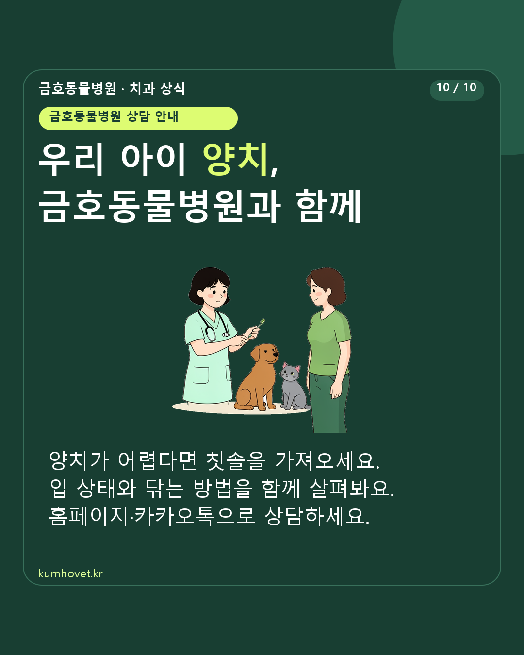 수의사가 보호자에게 강아지와 고양이 양치 도구를 설명하는 일러스트