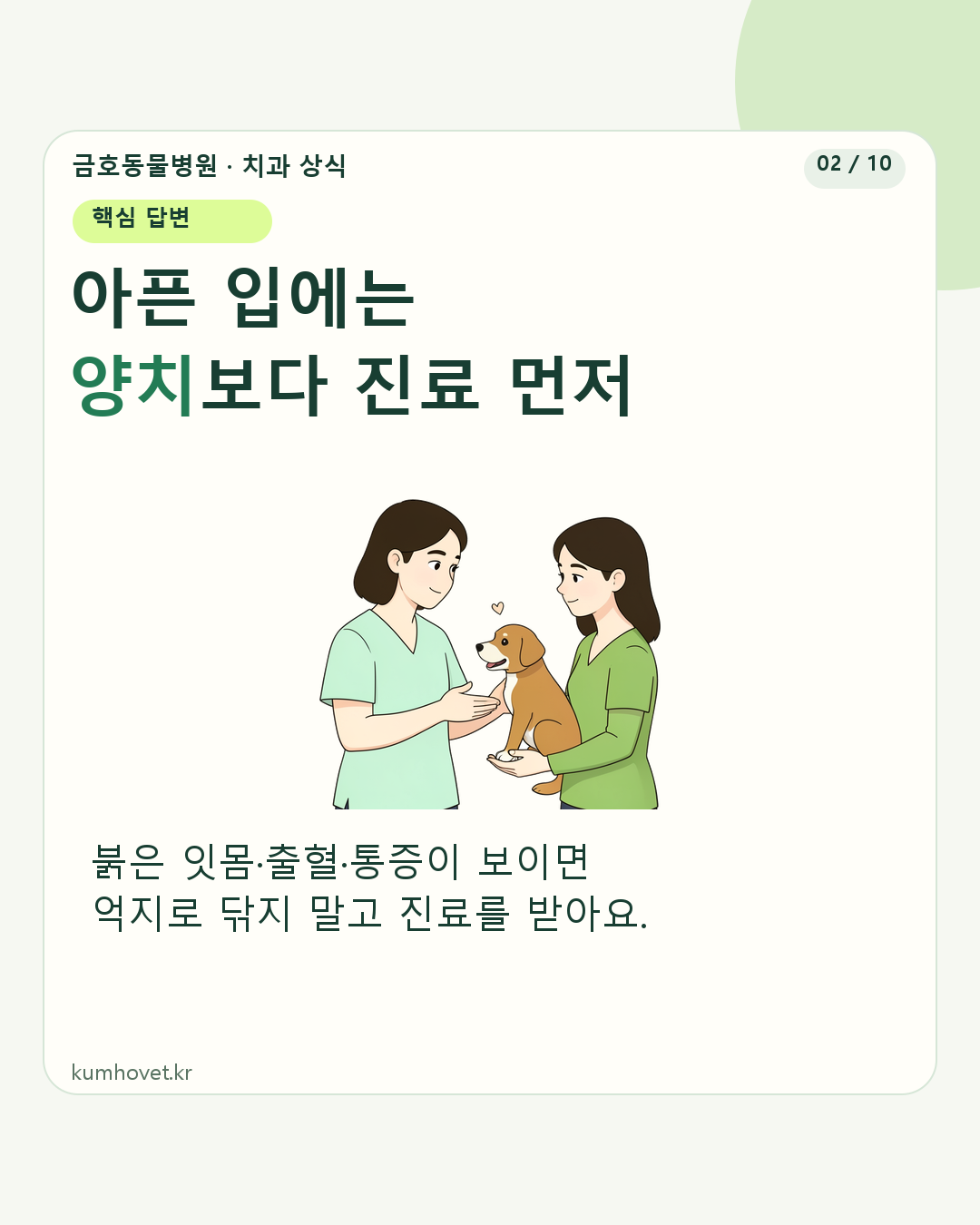 보호자가 반려동물의 입 주변을 살피고 수의사에게 상담하는 일러스트