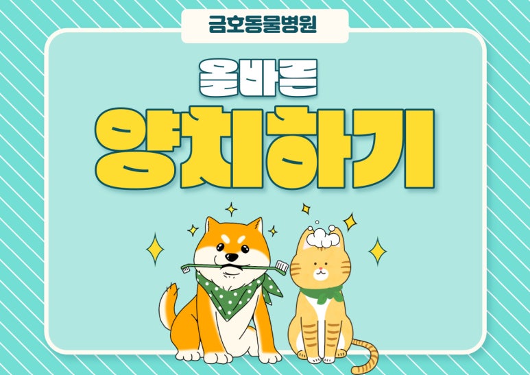 예방치과 (스케일링 폴리싱)