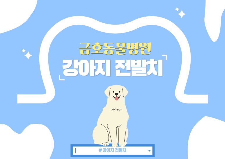 발치