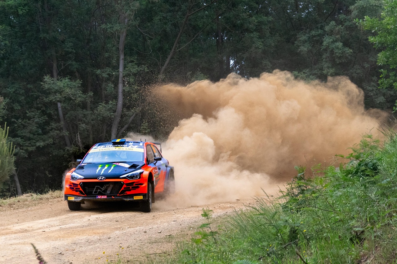Por qué una marca tiene que vender coches de calle para correr en rally