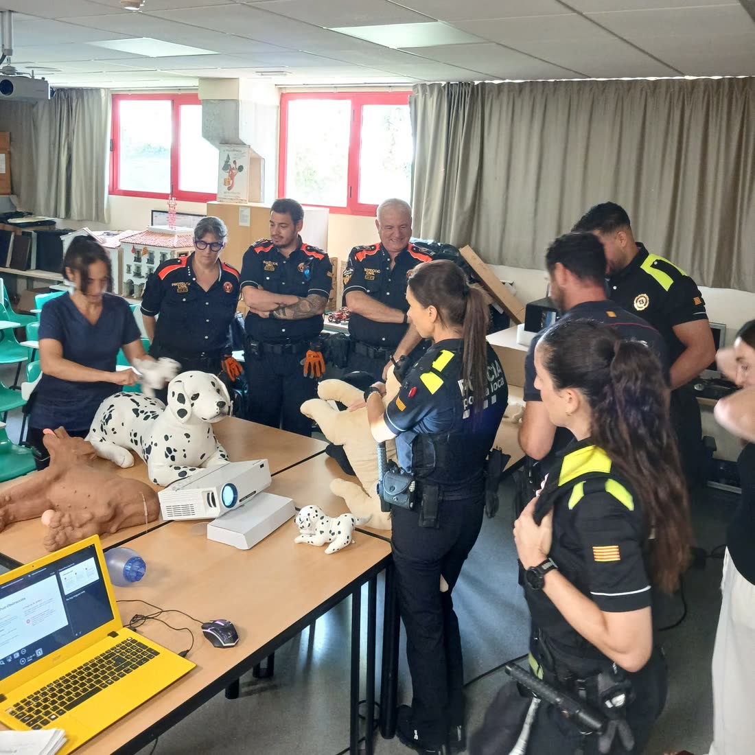Maniquíes de perro usados para practicar primeros auxilios veterinarios