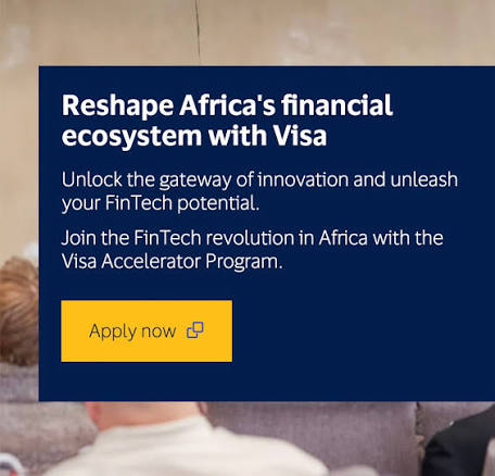 The Visa Africa Fintech Accelerator — VISA