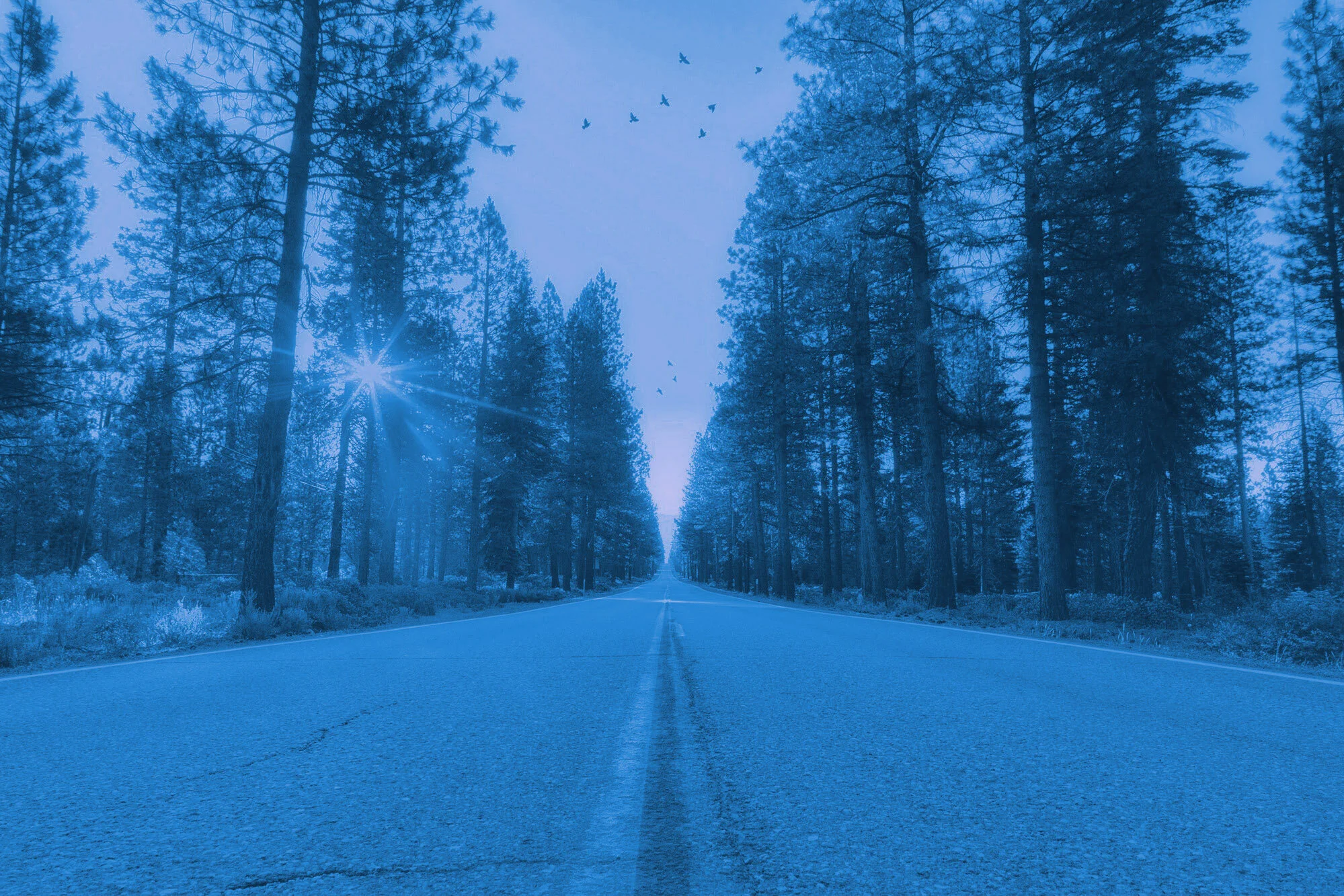 A long scenic road with a blue tint.