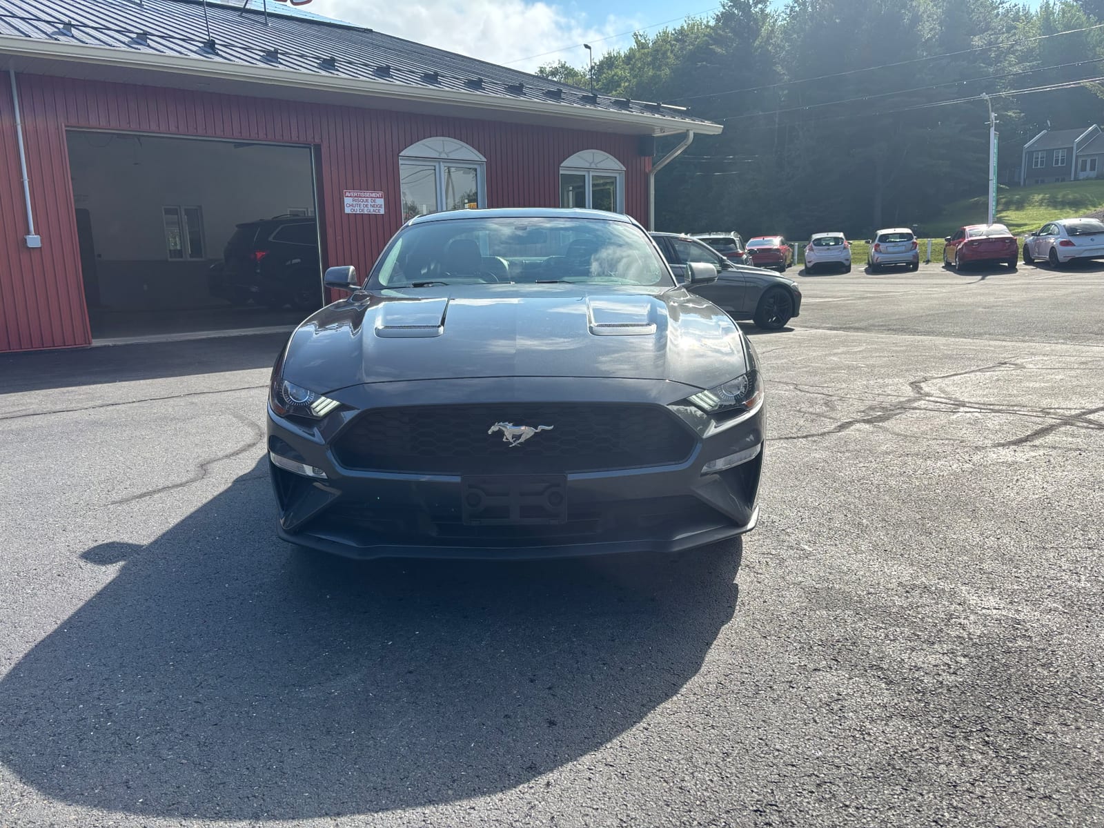 2019 FORD Mustang premium vignette 2