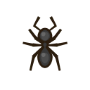 ant