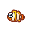 Clown fish