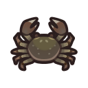 Mitten crab