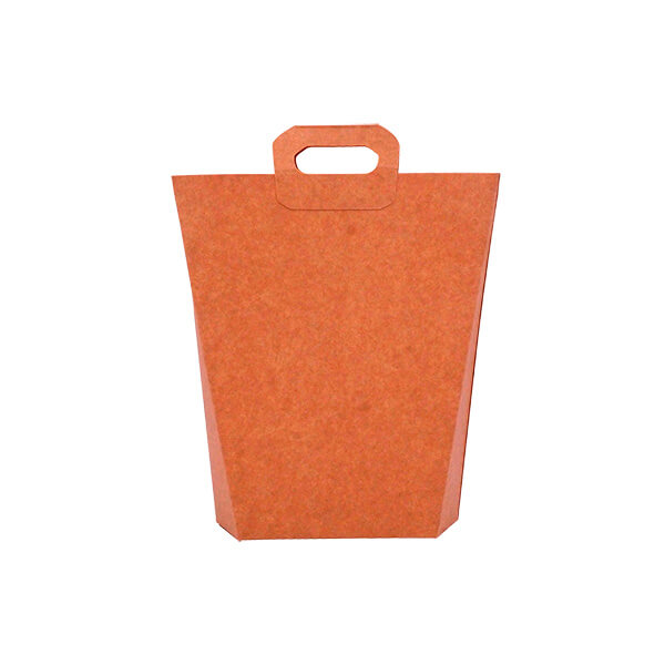 Bolsa kraft