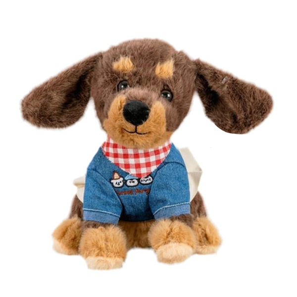 Perro con Camiseta