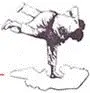 FEDERACION SALTEÑA DE JUDO
